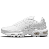 Nike Air Max Plus (DM2362-100)