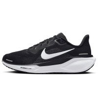 Nike Pegasus 41 (FD2723-002)