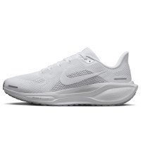 Nike Pegasus 41 (FD2723-102)