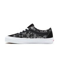 Vans Paisley Bold Ni (VN0A3WLP42L)