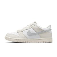 Nike Dunk Low (FB9109-109)