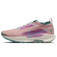 Nike Pegasus Trail 5 GORE-TEX (FQ0908-600)