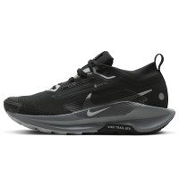 Nike Pegasus Trail 5 GORE-TEX (FQ0912-001)