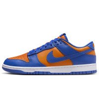 Nike Dunk Low Retro (DV0833-800)