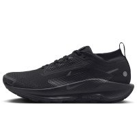 Nike Pegasus Trail 5 GORE-TEX (FQ0908-002)