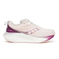 Saucony Saucony TRIUMPH 22 (S10964-240)