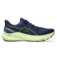 Asics GT-2000 12 GTX (1011B687-400)