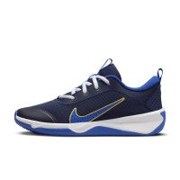 Nike Omni Multi-Court (DM9027-404)