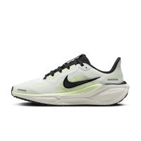 Nike Pegasus 41 (FN5041-102)