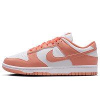 Nike Dunk Low (DD1873-109)