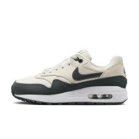 Nike Air Max 1 (DZ3307-113)