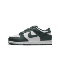 Nike Dunk Low (FB9108-120)