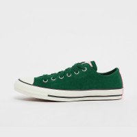 Converse Chuck Taylor All Star (A10828C)