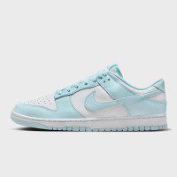 Nike Dunk Low Retro (DV0833104)