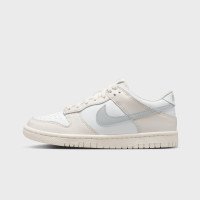 Nike Dunk Low (GS) (FB9109109)