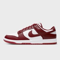 Nike Dunk Low Retro (DD1391601)