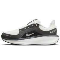 Nike Winflo 11 GORE-TEX (FQ1358-004)