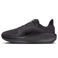 Nike Winflo 11 GORE-TEX (FQ1358-001)