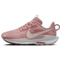 Nike Pegasus Trail 5 (DV3865-600)