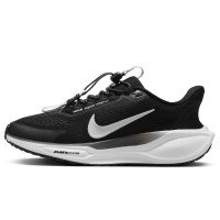 Nike Pegasus EasyOn (FQ7844-002)