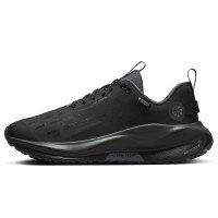 Nike InfinityRN 4 GORE-TEX (HQ0264-001)