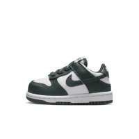 Nike Dunk Low (FB9107-120)