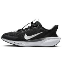 Nike Pegasus EasyOn (FQ7837-002)