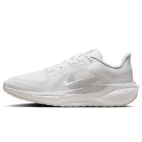 Nike Pegasus 41 GORE-TEX (FQ1356-101)