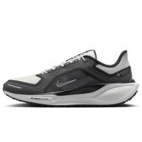 Nike Pegasus 41 GORE-TEX (FQ1356-002)