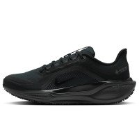 Nike Pegasus 41 GORE-TEX (FQ1356-001)