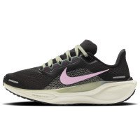 Nike Pegasus 41 (FD2723-009)