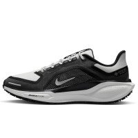 Nike Pegasus 41 GORE-TEX (FQ1357-002)