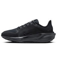 Nike Pegasus 41 GORE-TEX (FQ1357-001)