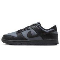 Nike Dunk Low Retro SE (FZ3052-001)