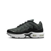 Nike Air Max Plus (CD0610-302)