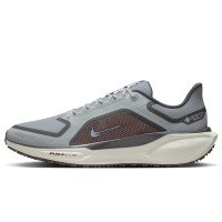 Nike Pegasus 41 GORE-TEX (FQ1356-003)