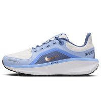 Nike Winflo 11 GORE-TEX (FQ1359-002)