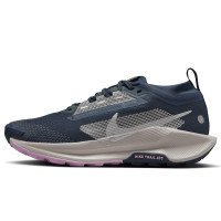 Nike Pegasus Trail 5 GORE-TEX (FQ0912-400)