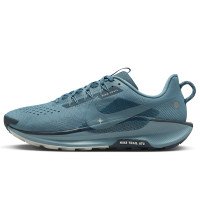 Nike Pegasus Trail 5 (DV3864-005)