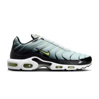 Nike Air Max Plus (DM0032-006)