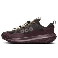 Nike Mountain Fly 2 Low GORE-TEX (HF6245-200)