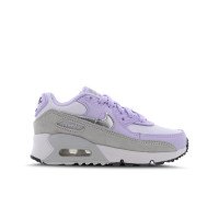 Nike Air Max 90 (CD6867-123)