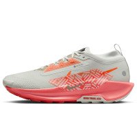 Nike Pegasus Trail 5 GORE-TEX (FQ0908-004)