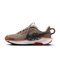 Nike Pegasus Trail 5 (FV5638-200)