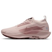 Nike Pegasus Trail 5 GORE-TEX (FQ0912-601)