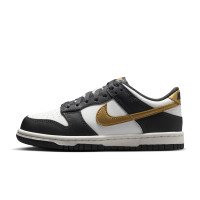 Nike Dunk Low (HV2533-100)