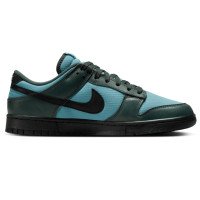 Nike Dunk Low (FZ3052-300)