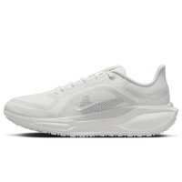 Nike Pegasus 41 GORE-TEX (FQ1357-101)