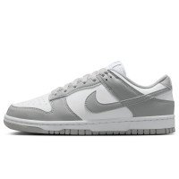 Nike Dunk Low Next Nature (DD1873-113)