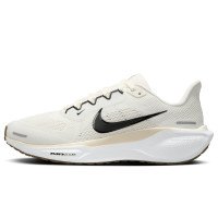 Nike Pegasus 41 (FD2723-108)